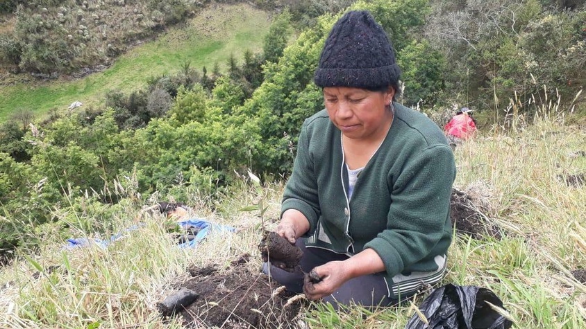 Soutien à une pépinière - Plantation de 10  000 arbres