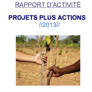 RAPPORT D'ACTIVITÉ 2013